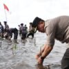 Tanam Puluhan Ribu Pohon Mangrove, Kapolda Sulbar Wujudkan Semangat Kemerdekaan dan Dukung Pelestarian Lingkungan