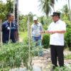 Temui Petani, Pj. Bahtiar Komitmen Kembangkan Produk Pertanian Sulbar