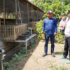 Pj. Gubernur Bahtiar Ajak Petani dan Peternak Polman Tingkatkan Produksi Usaha