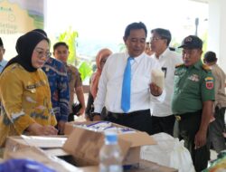 Bupati Sutinah Dipuji Pj Gubernur atas Upaya Kendalikan Harga Pangan di Mamuju