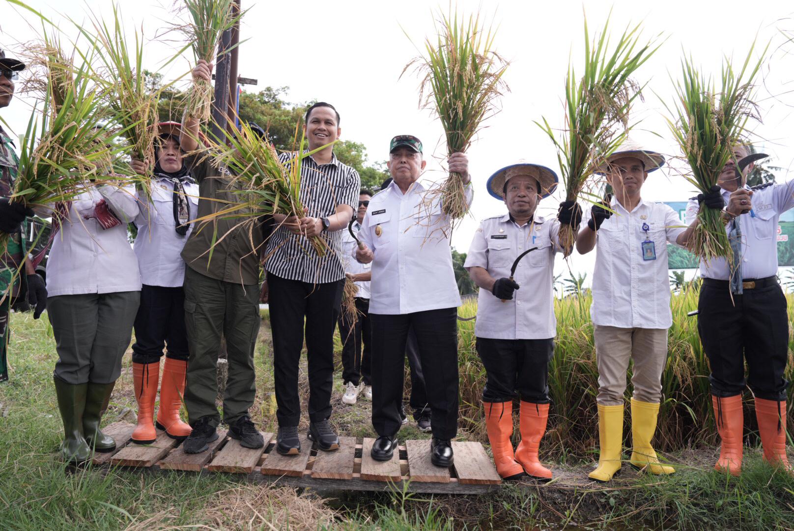 Pesta Panen Padi di Kalukku, Wagub Sulbar Dorong Strategi Jangka Panjang dengan Revolusi Irigasi Sulbar
