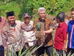 Bupati Mamasa Komitmen Perkuat Ketahanan Pangan Lewat Pengembangan Potensi Desa