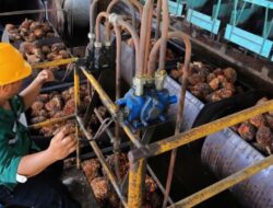 Aspiannur Sebut Hilirisasi Sawit Bisa Dorong Ekonomi dan Serap Tenaga Kerja Lokal