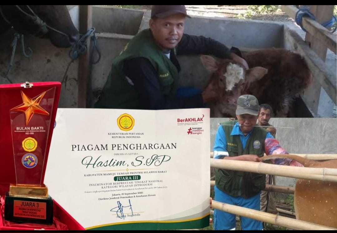 Sulbar Raih Penghargaan Inseminator Berprestasi Wilayah Introduksi Tingkat Nasional 2025