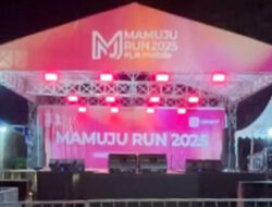 Sukses! Ribuan Peserta Meriahkan Mamuju Run 2025 Polresta dan HIPMI