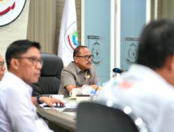 APBD 2025 Dikebut, Gubernur Sulbar Suhardi Duka Ikuti Rakor Evaluasi Bersama Kemendagri