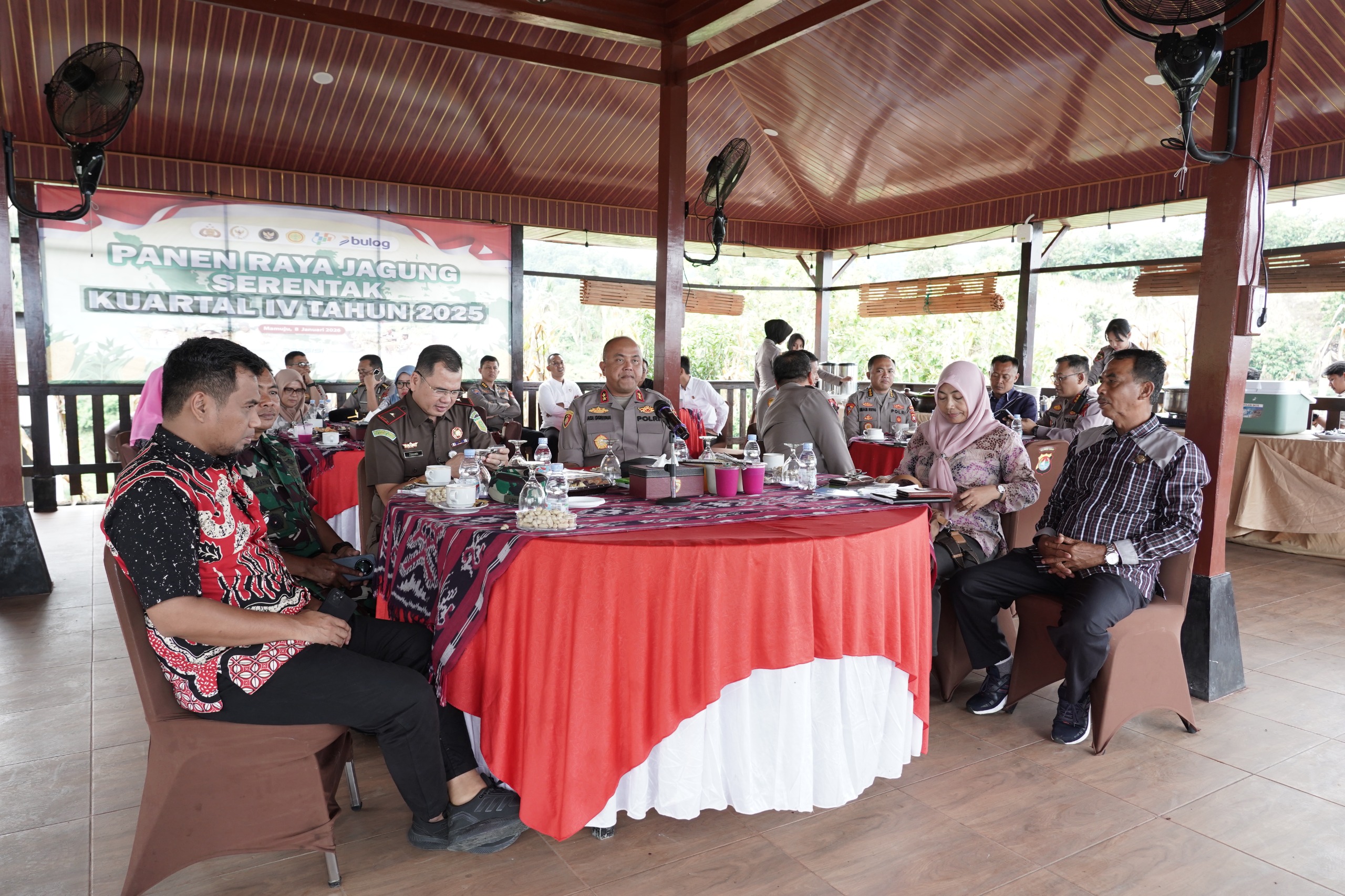 Panen Raya Jagung Serentak Libatkan 3.616 Petani, Perkuat Ketahanan Pangan