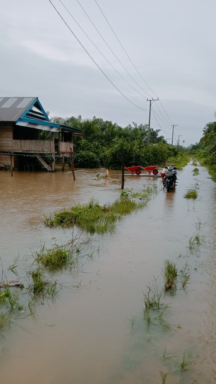 Terima Laporan Kejadian Banjir di Mamuju Tengah, BPBD Sulbar Instruksikan Penanganan Cepat, Tepat dan Terkoordinasi