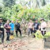 Perkuat Fondasi Perkebunan Sulbar, Pemerintah Percepat Penetapan Kebun Sumber Benih Kakao