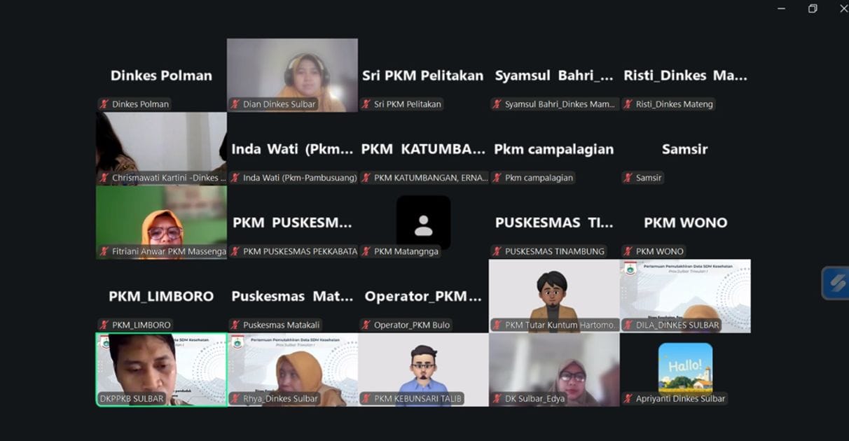Data Akurat, Kebijakan Tepat : DKPPKB Sulbar Gelar Desk Data SDM Kesehatan untuk Perkuat Perencanaan Layanan Kesehatan