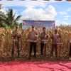 Kapolresta Mamuju Ikuti Panen Raya Jagung Serentak Kuartal II 2026 Bersama Presiden RI dan Kapolri Melalui Zoom Meeting