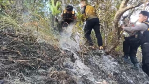 Pastikan Padam, Gabungan Polresta Mamuju, Dalkarhut dan BPBD Sulbar Patroli ke Lokasi Karhutla