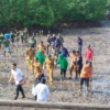 50 Bibit Mangrove Ditanam di Bontang, Wali Kota Tekankan Komitmen Jangka Panjang