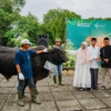 Penyerahan simbolis hewan kurban oleh PT Pupuk Kalimantan Timur (Pupuk Kaltim) dalam rangka Iduladha 1447 Hijriah di Kota Bontang. (Dok.Humas PKT)