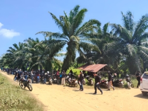 S-TAB Mamuju Tengah Tandai Tujuh Blok Lahan yang Diklaim Dirampas PT WKSM