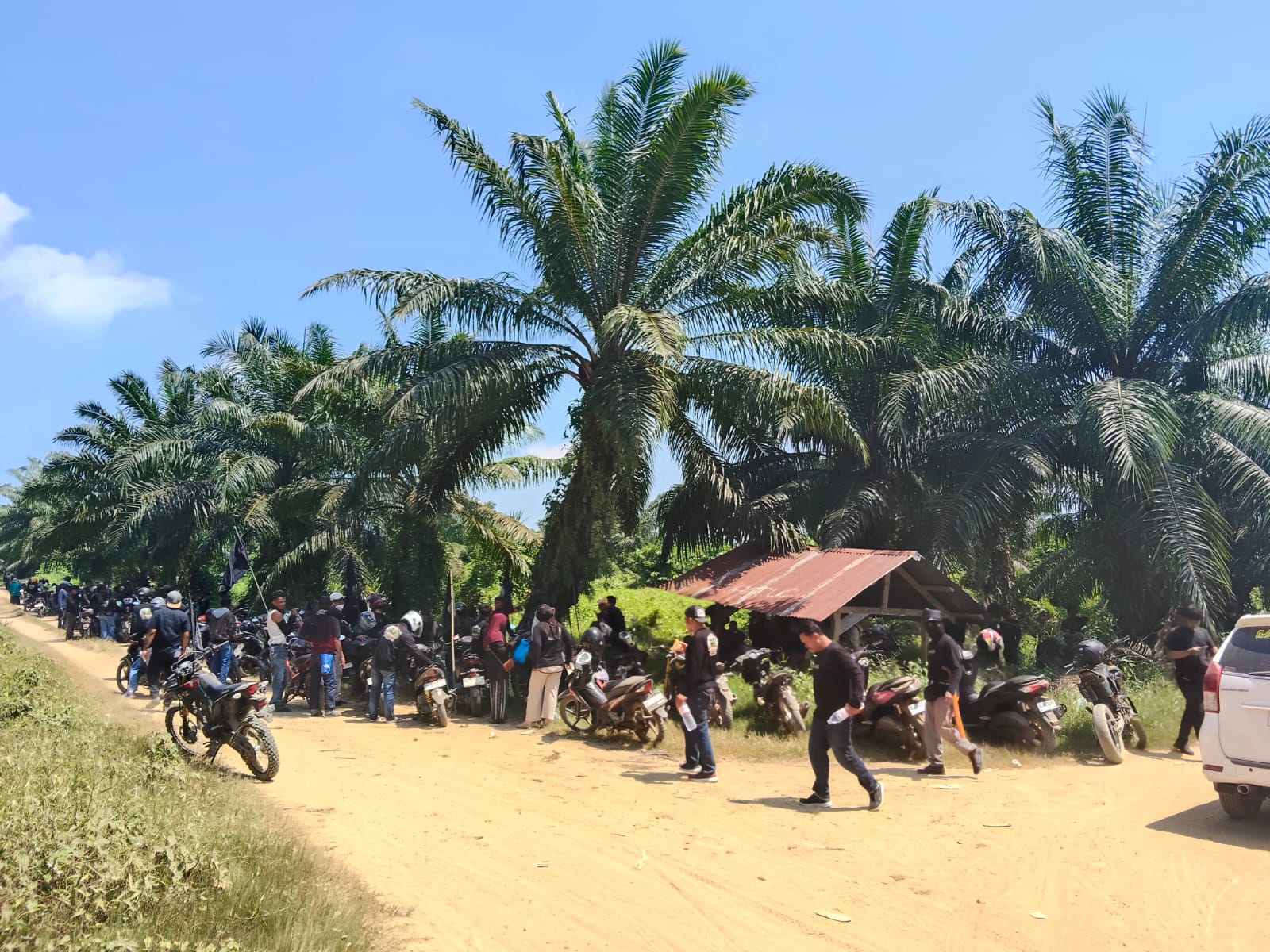 S-TAB Mamuju Tengah Tandai Tujuh Blok Lahan yang Diklaim Dirampas PT WKSM