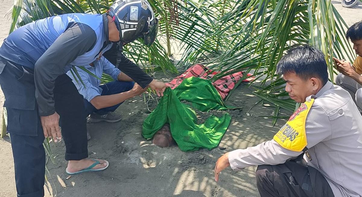 Polisi Respon Cepat, Mayat Tanpa Identitas Ditemukan di Pantai Dato Sampaga