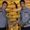 Lawan Dampak Kemarau, Polsek Kalumpang Wujudkan Komitmen Ketahanan Pangan Lewat 3,1 Ton Jagung